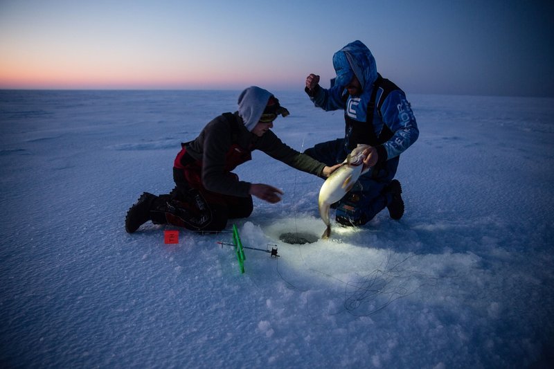 Experience the Thrill of Ice Fishing with Live Casino Gaming in the UK, ice fishing live casino